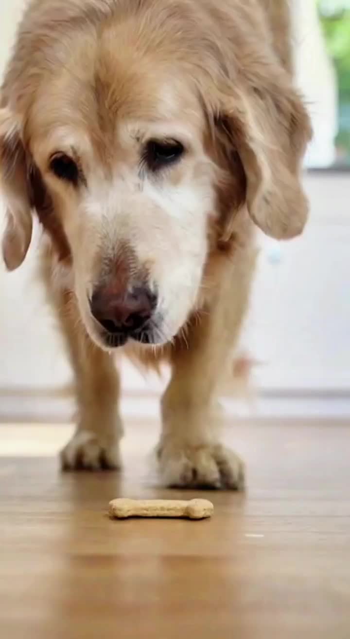 @pawpawchum