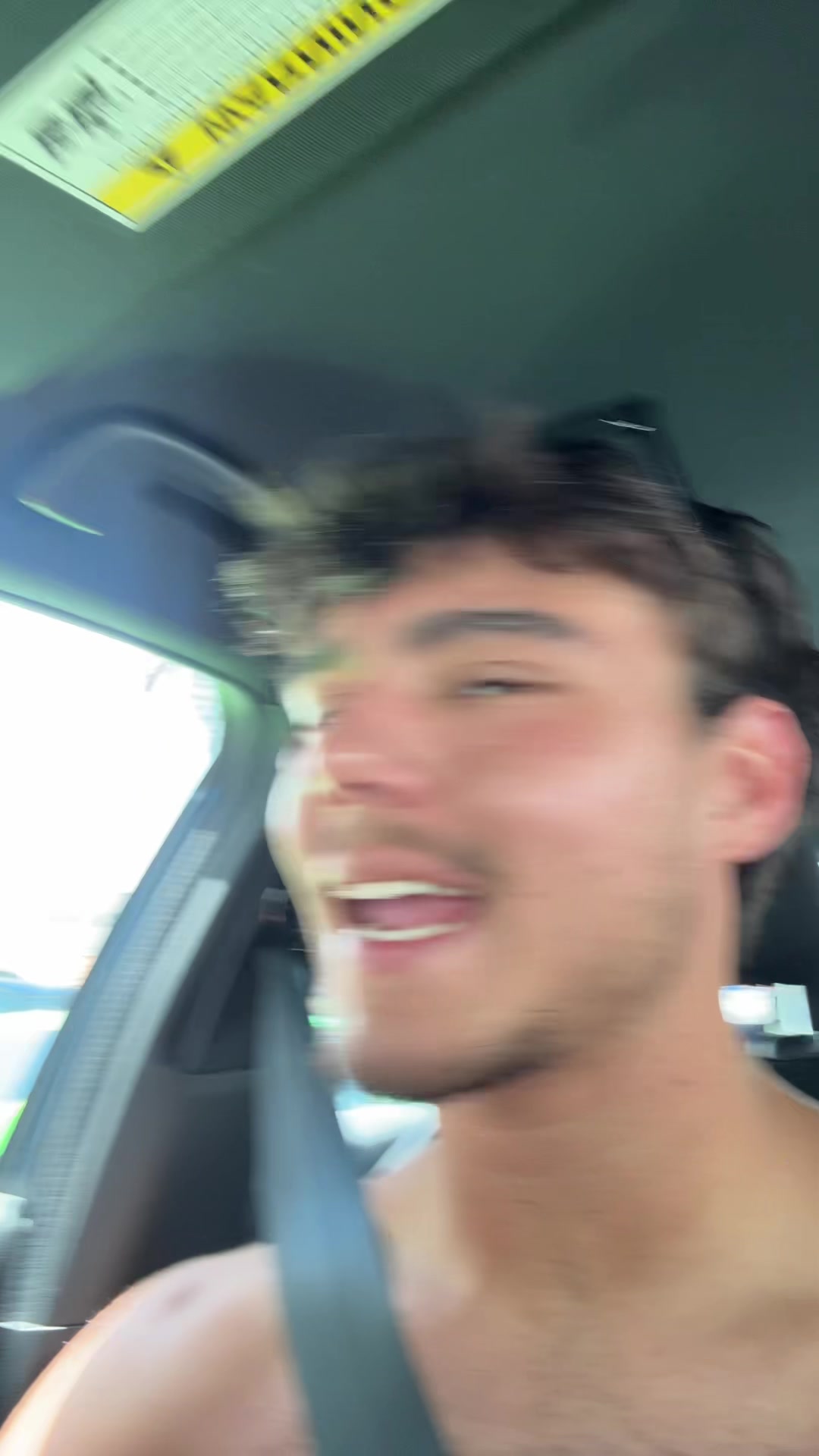 @mendiolaenusa