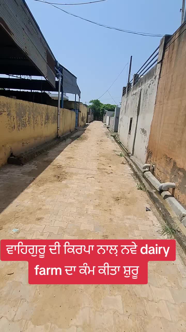 @MandeepBainspb12