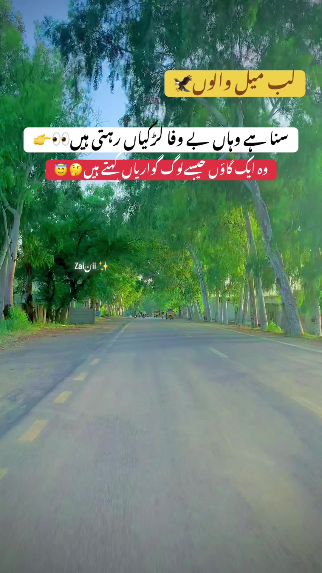 @جانی❣️z