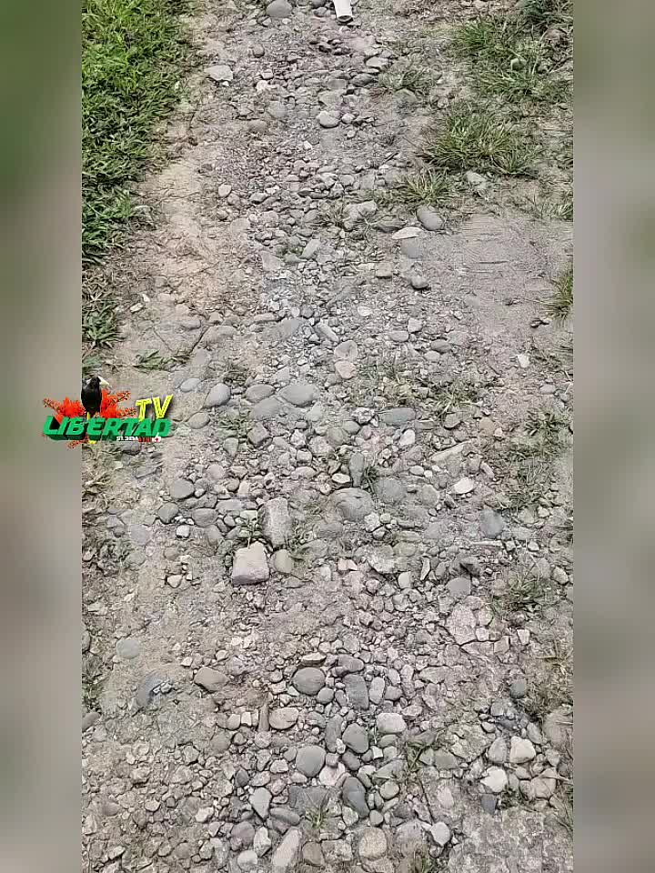 @libertadaynipositiva7