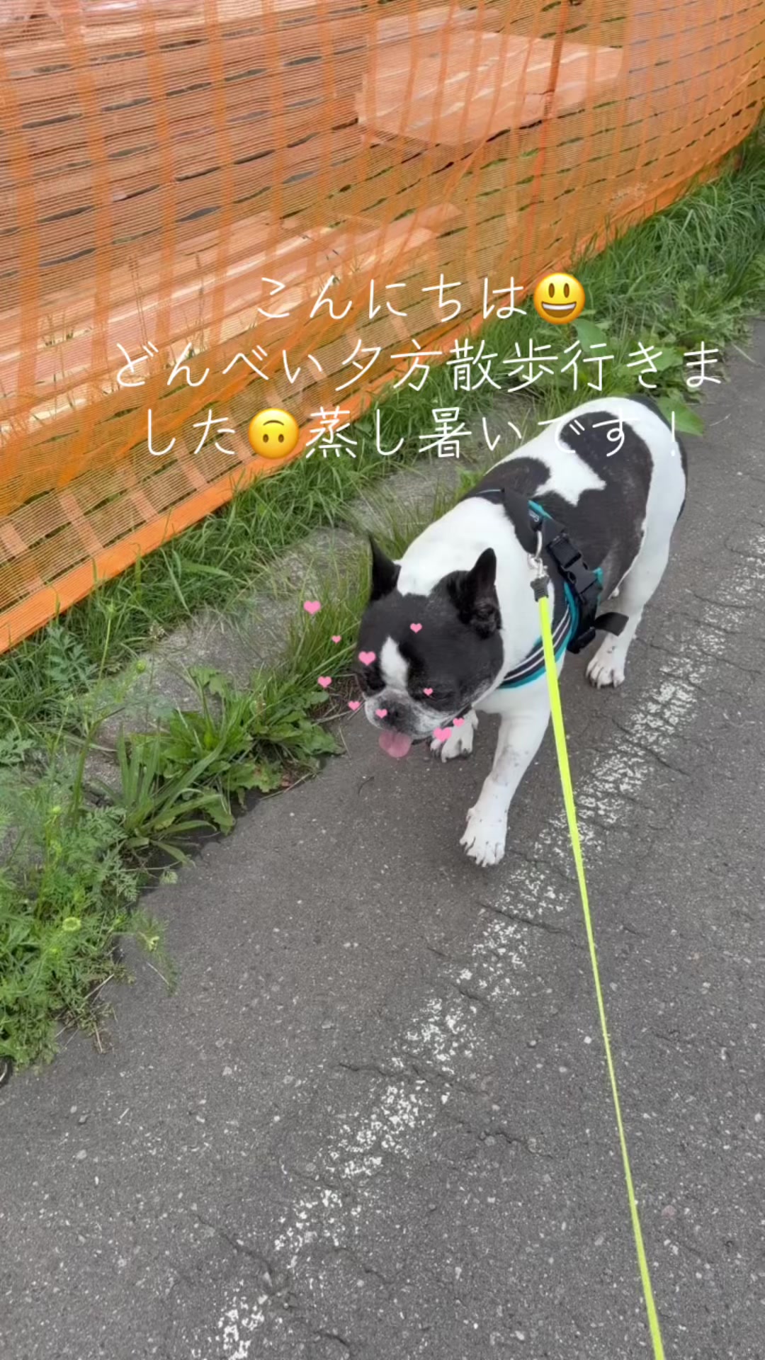 @taka1964