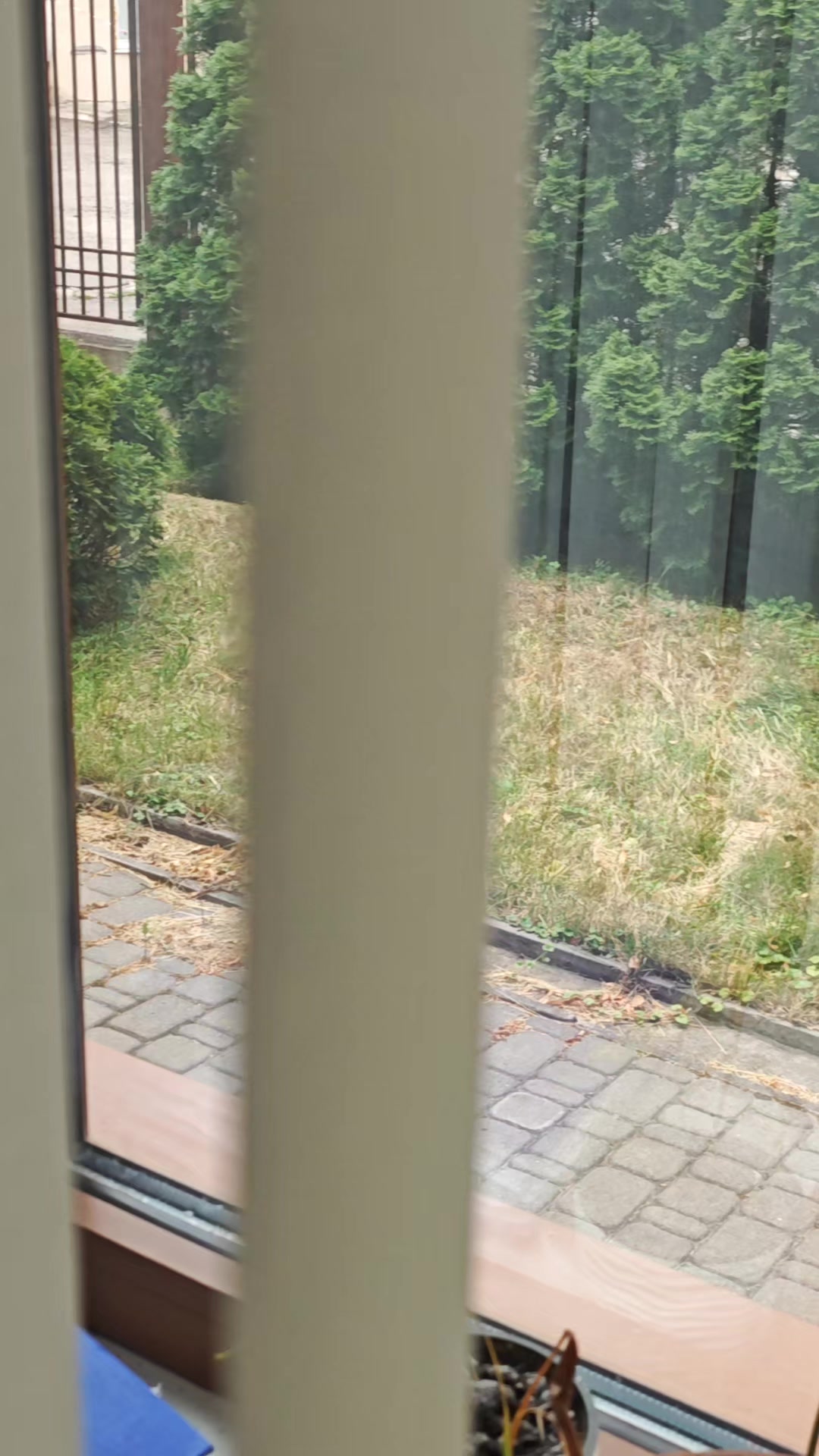 @Vkeksike