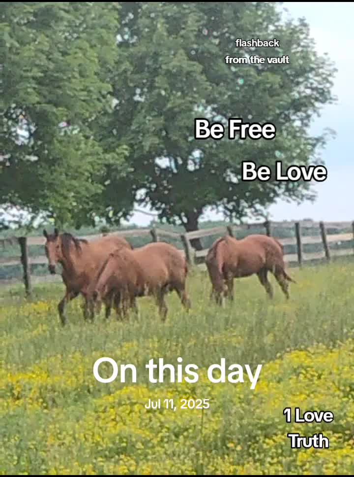 @LightSpiritualWarrior