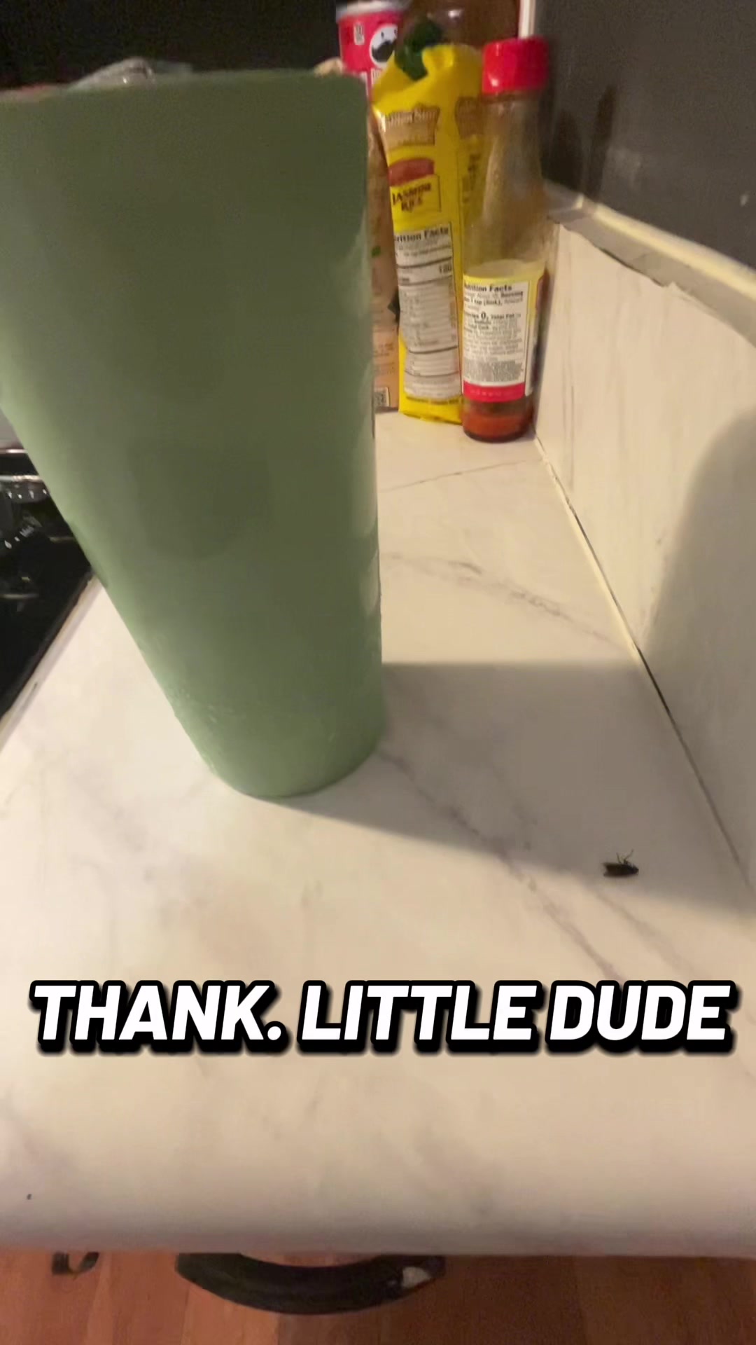 @saberqueentiger