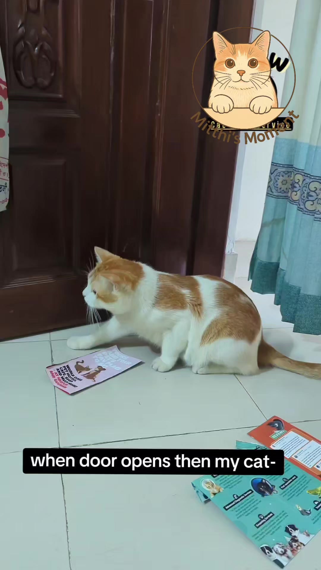 @Mitthi the Meow Meow