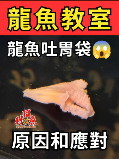 @招財魚水族館