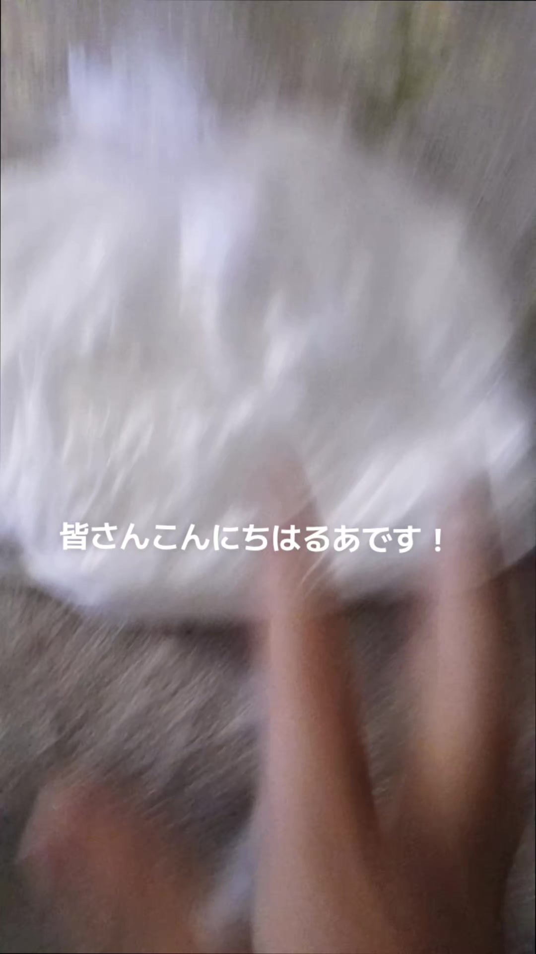 @るあ💙🌷👻/なお兄推し