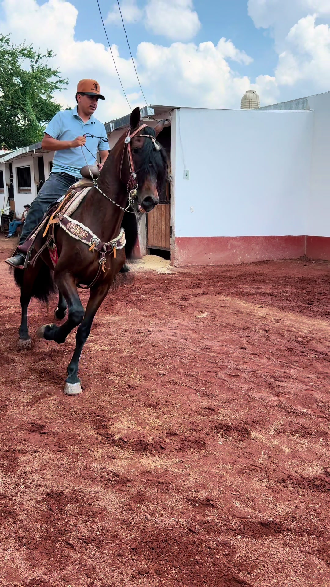 @Rancho los Arcos