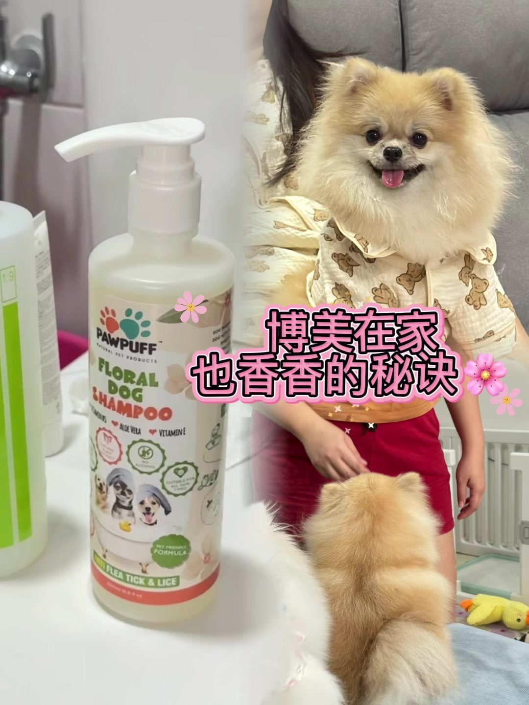 @PAW PUFF HOUSE
