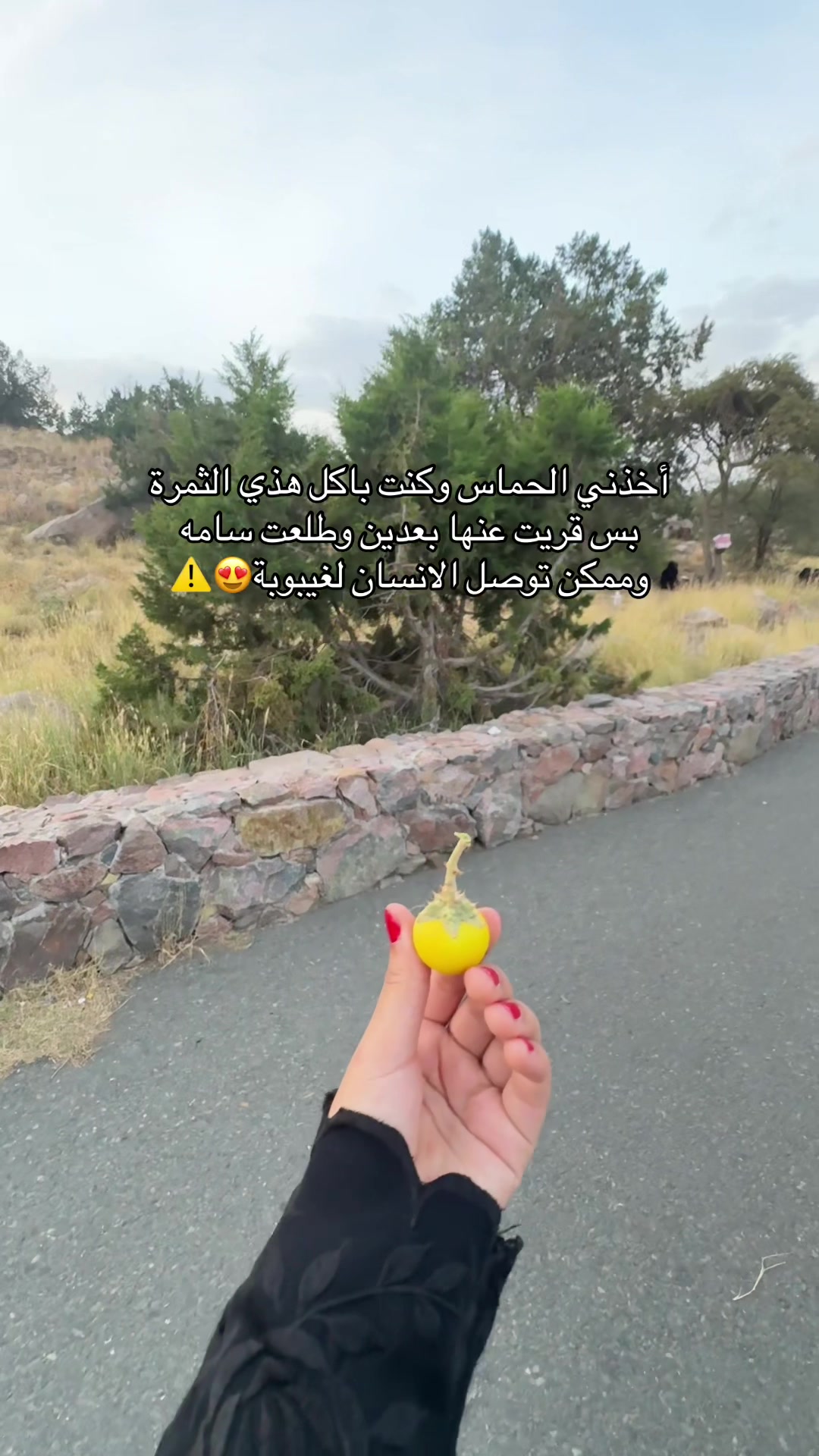 @Rawan | content creator🤳