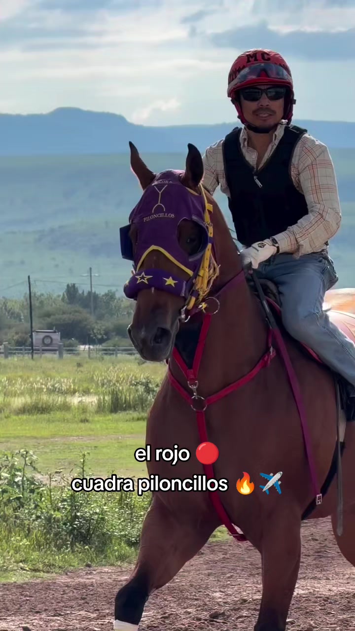 @carriles altos de jalisco🐎