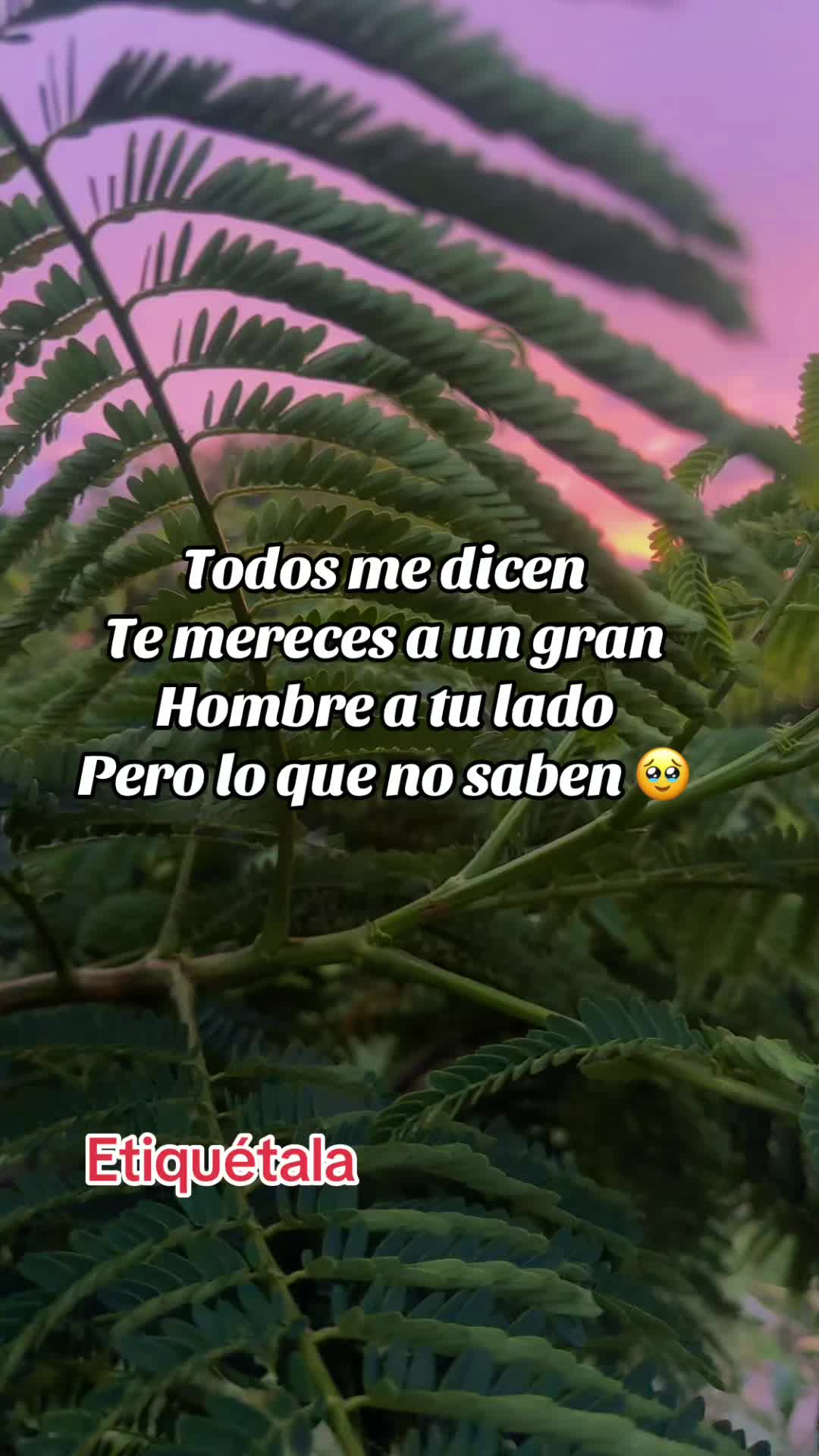 @Marta Sarat