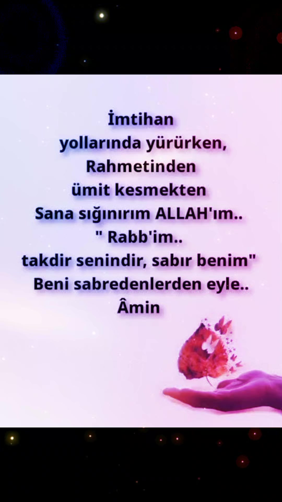 @RIDVAN ASLAN🇹🇷🇹🇷🇹🇷🌼☘️