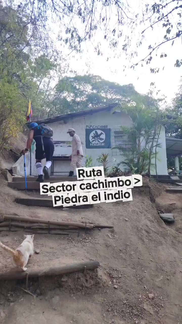 @Oscar Gabriel