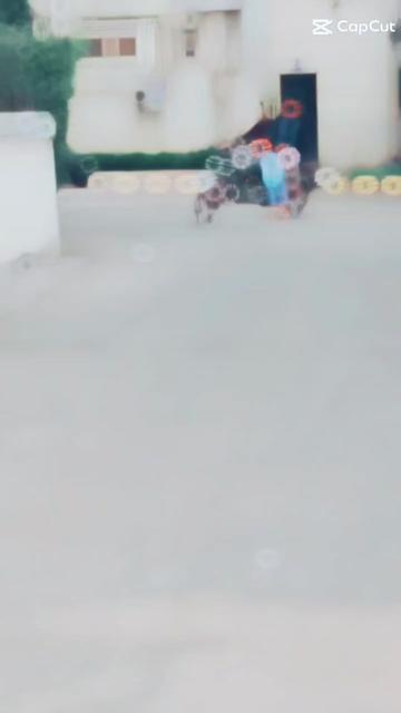 @Narendar Singhtiktok.com/@nare