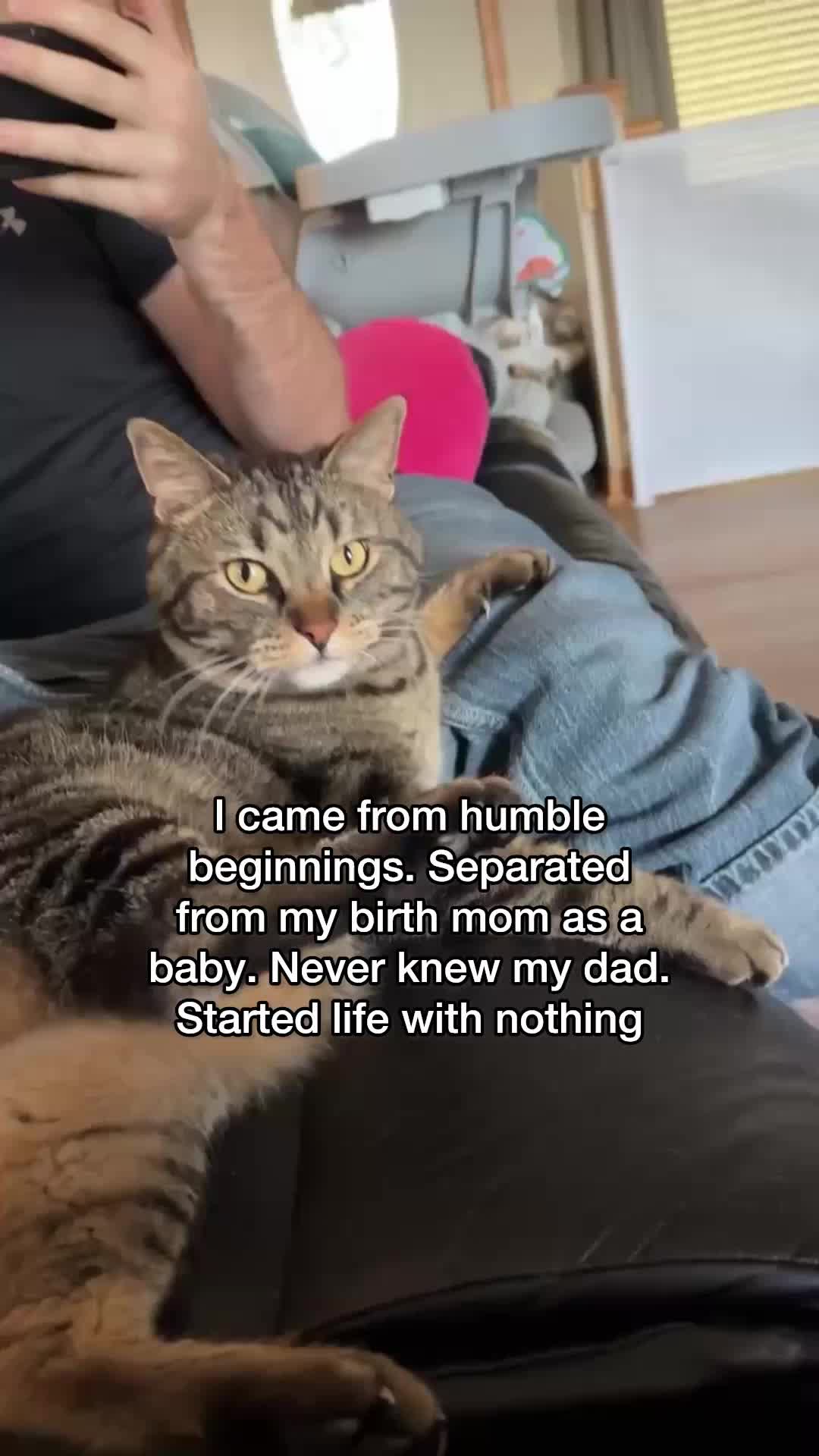 @Chip The Manx