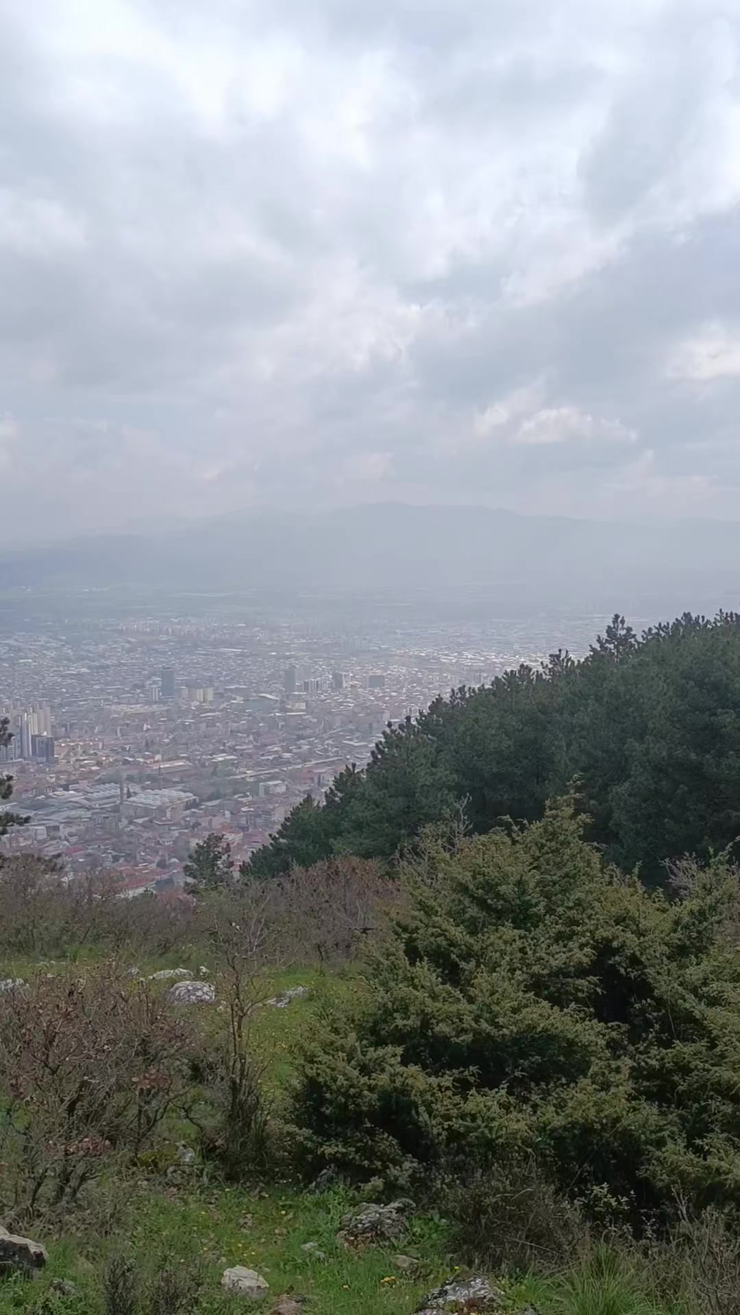 @Sarı
