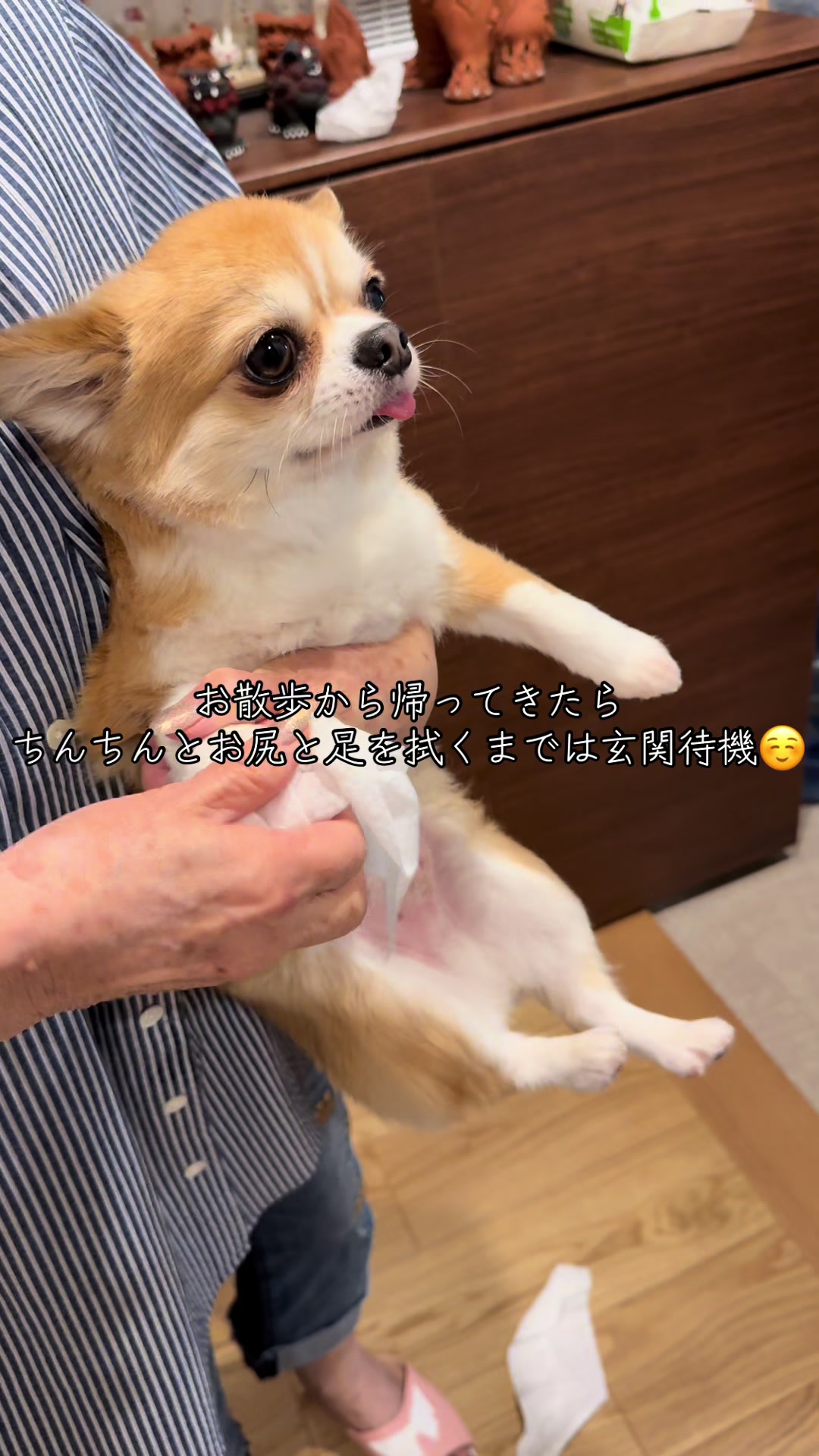 @心太