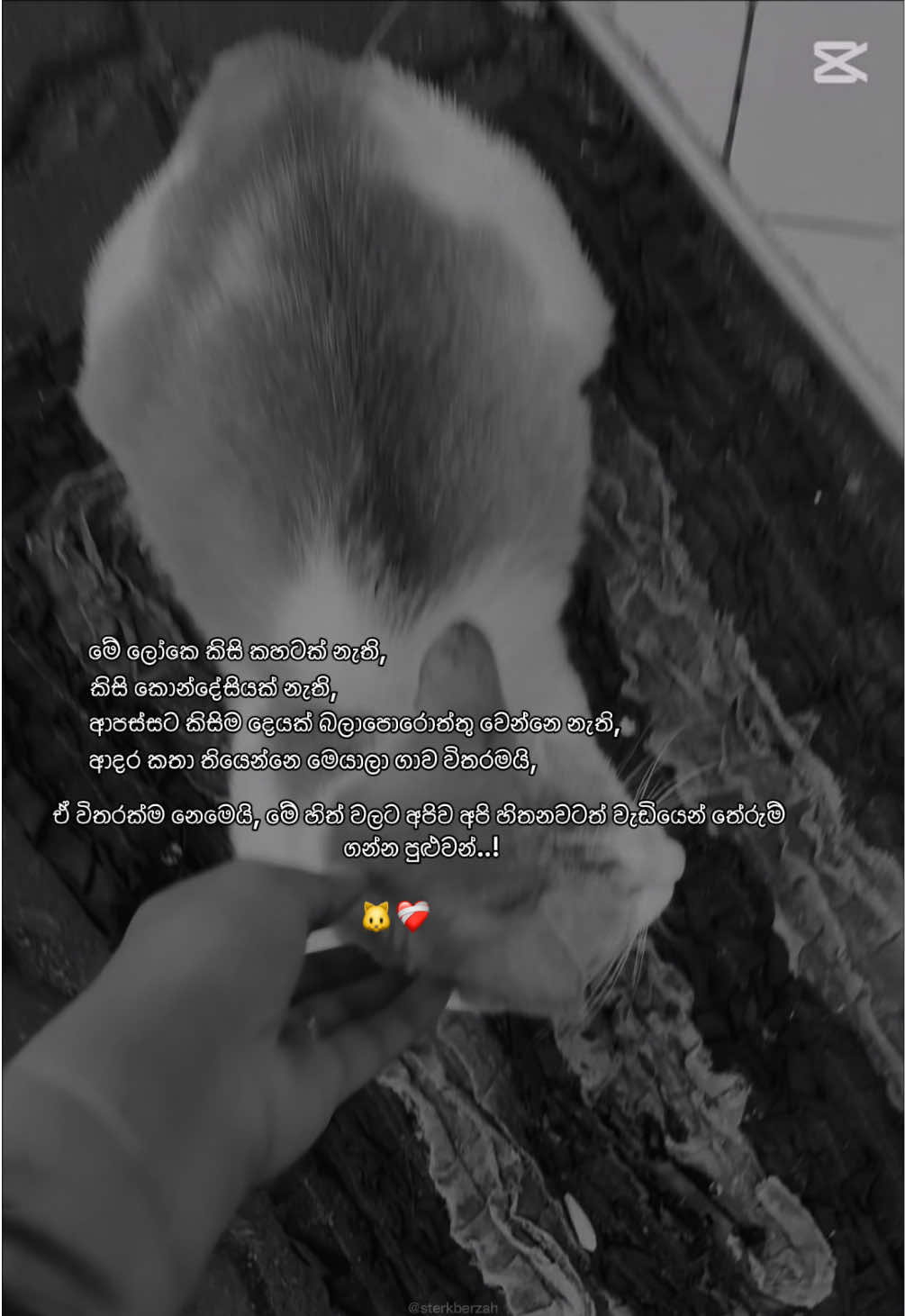 @ᦓꪖꪀꪊꫝꪖᦓꫝ꠸🪬🧿