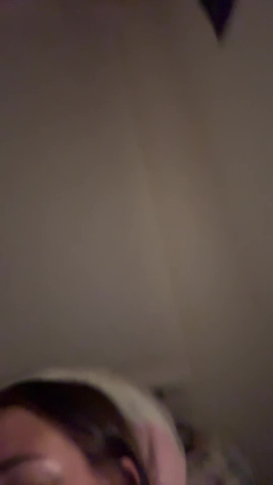 @bibitbop