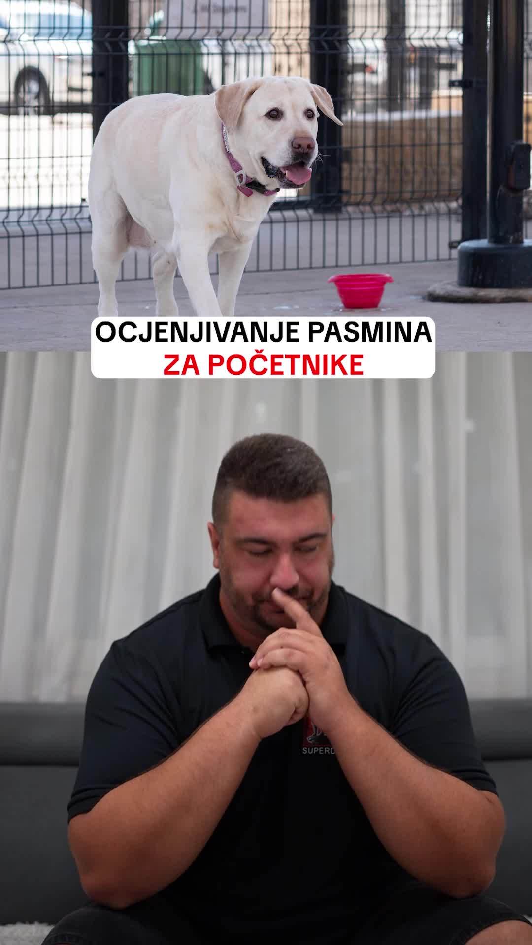 @superdog.akademija