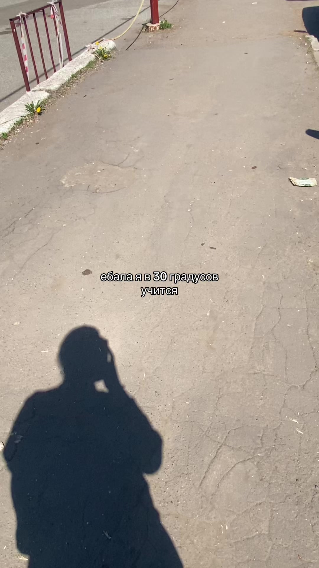 @диша