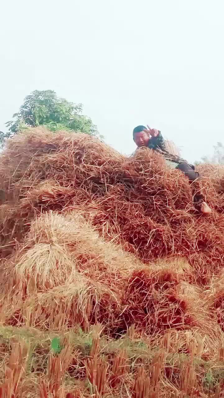 @लिम्बूनी सोजी मायाँ 👌👌