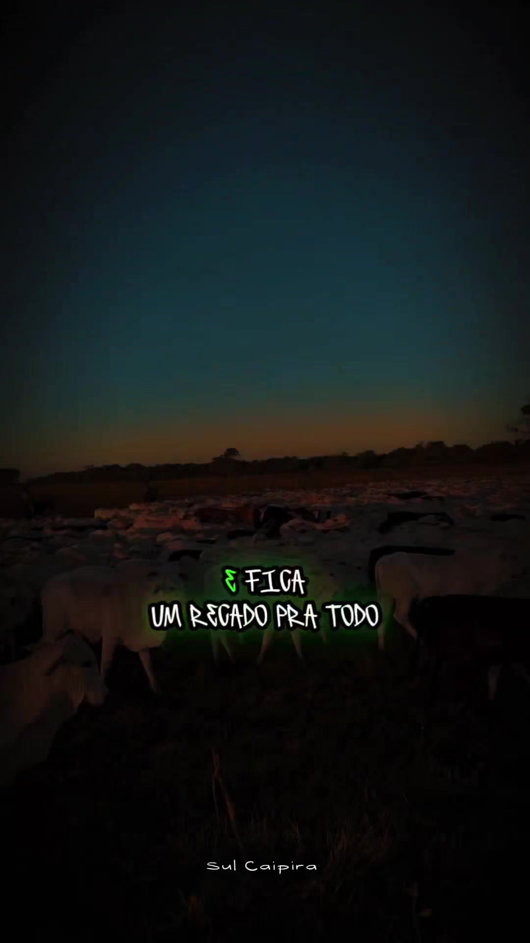 @Sul Caipira