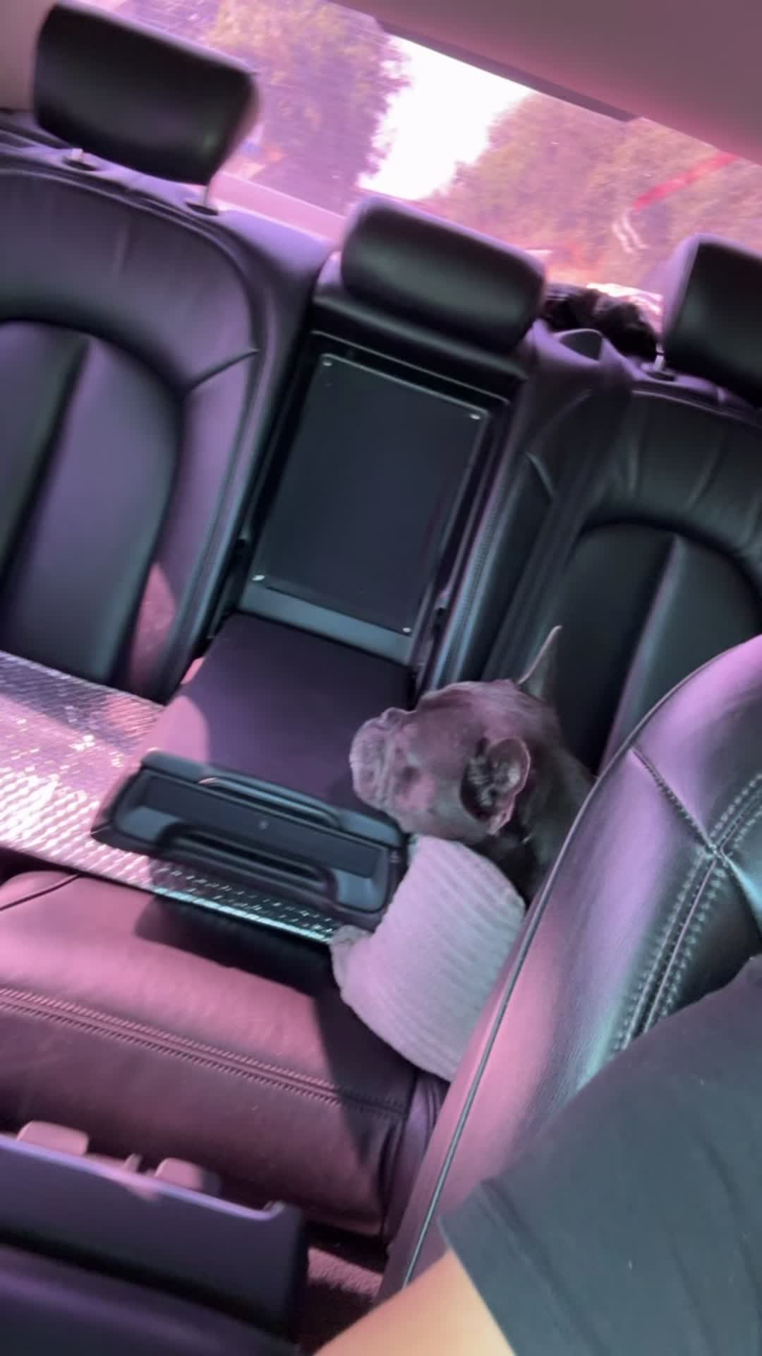 @𝓐𝓭𝓲𝓷𝓪