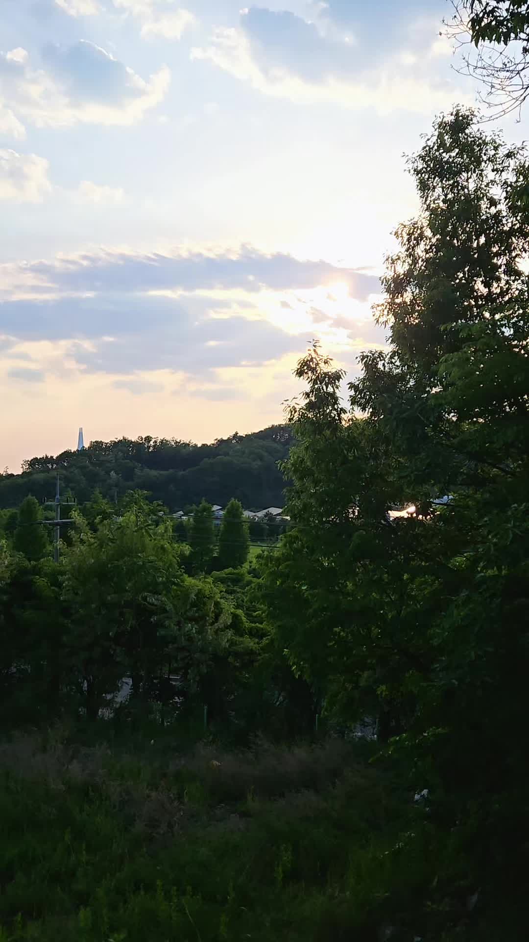 @Leo.willy choi.최원제.