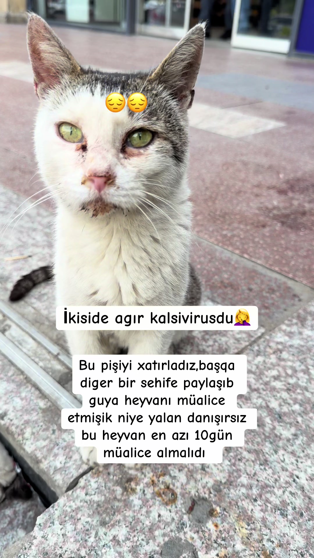 @SAHİBSİZ-HEYVANLARA-DESTEK