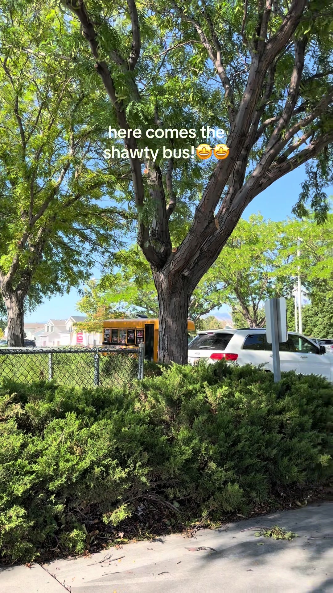@rachelleahtia