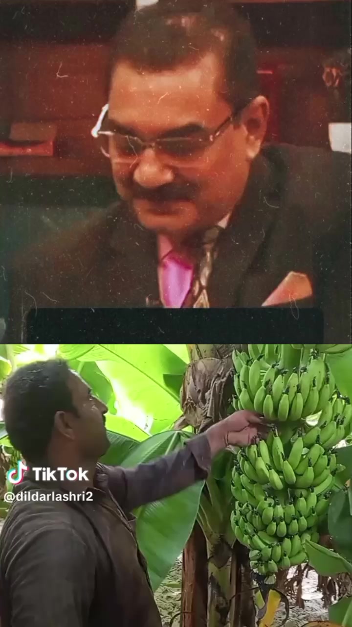 @dildarlashri2