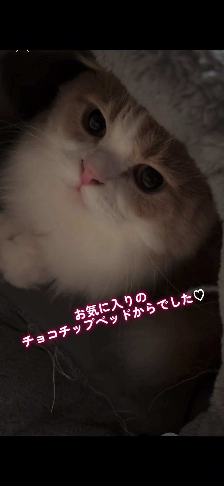 @くるラテ