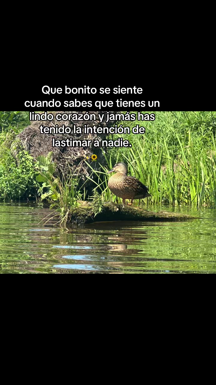 @lufer❣️🇨🇴🇵🇱❤️🩹❤️🤍