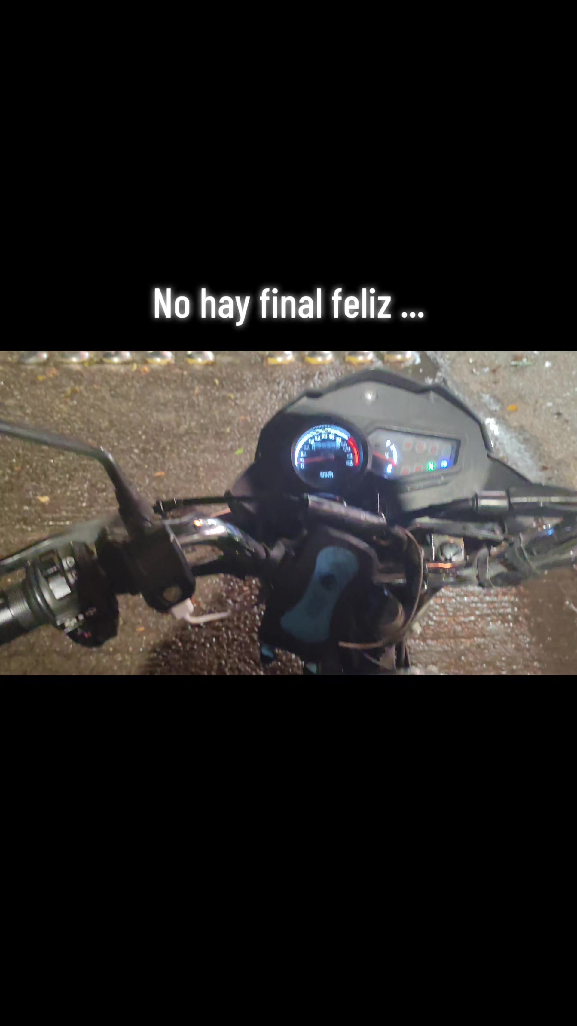 @FazoVidales🦝