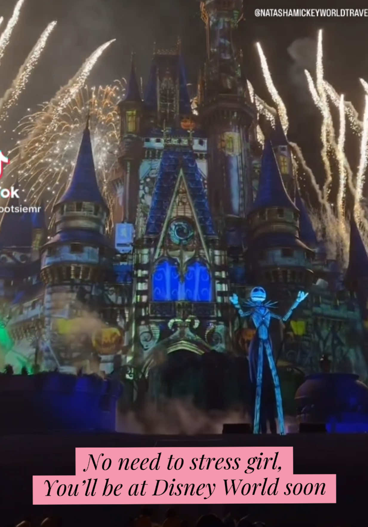 @Natasha Mickey World Travel