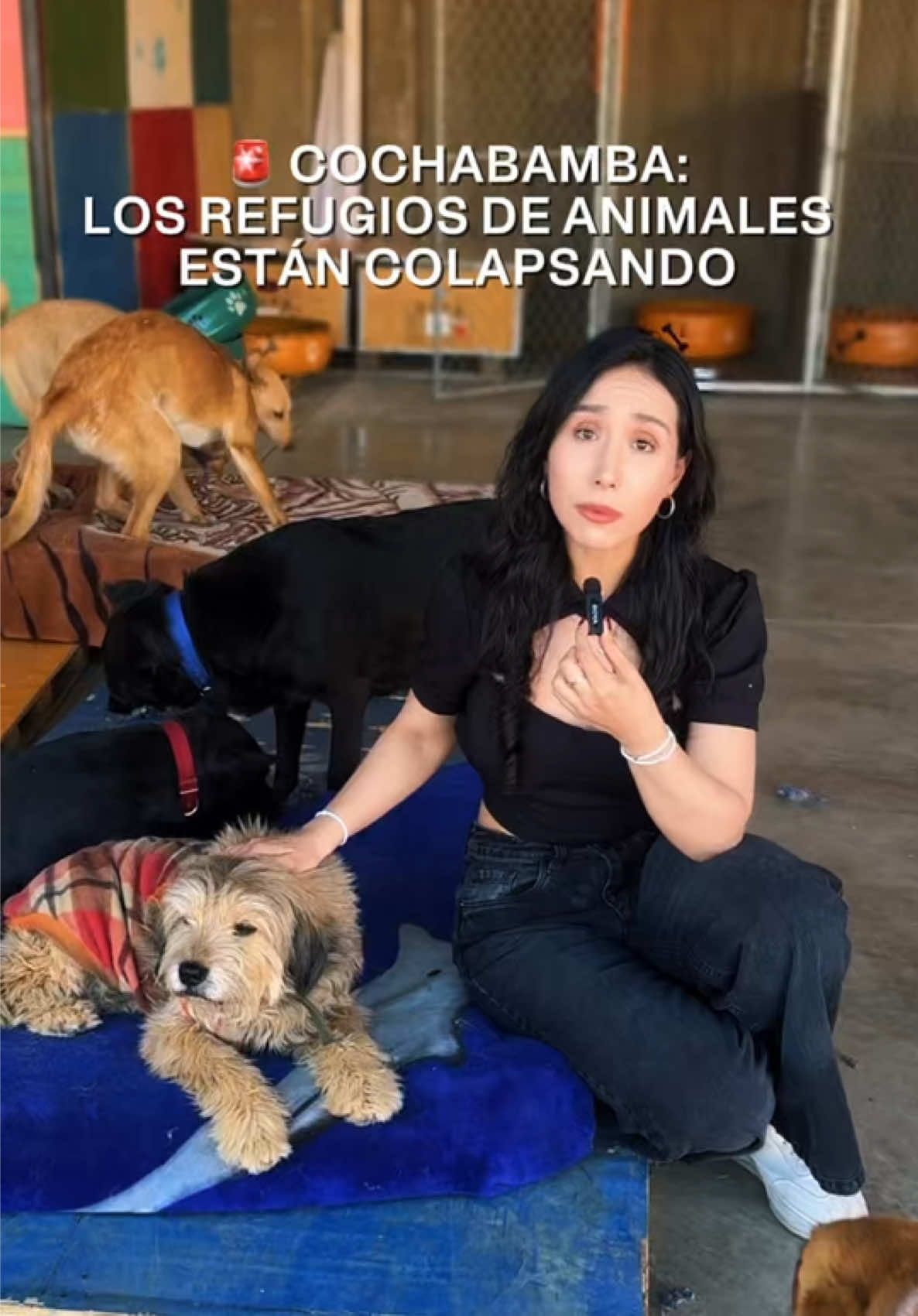 @Sabrina Cordero Villarroel