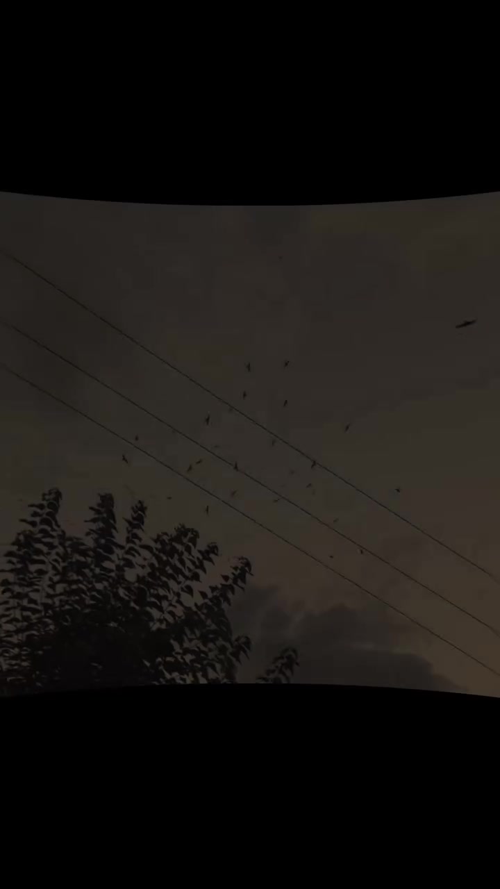 @➳&hearts;𝑩𝑬𝑹𝑹𝒀🫐