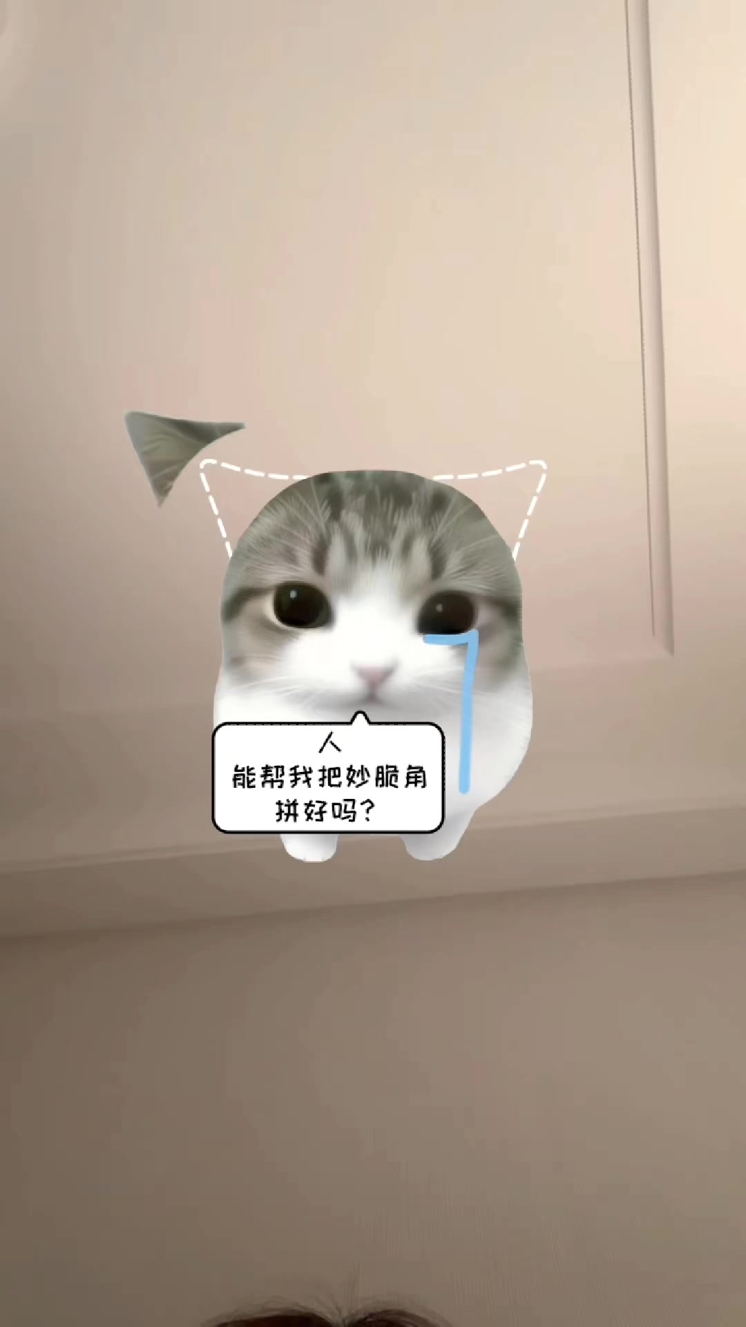 @可愛的女孩 🍁❤️