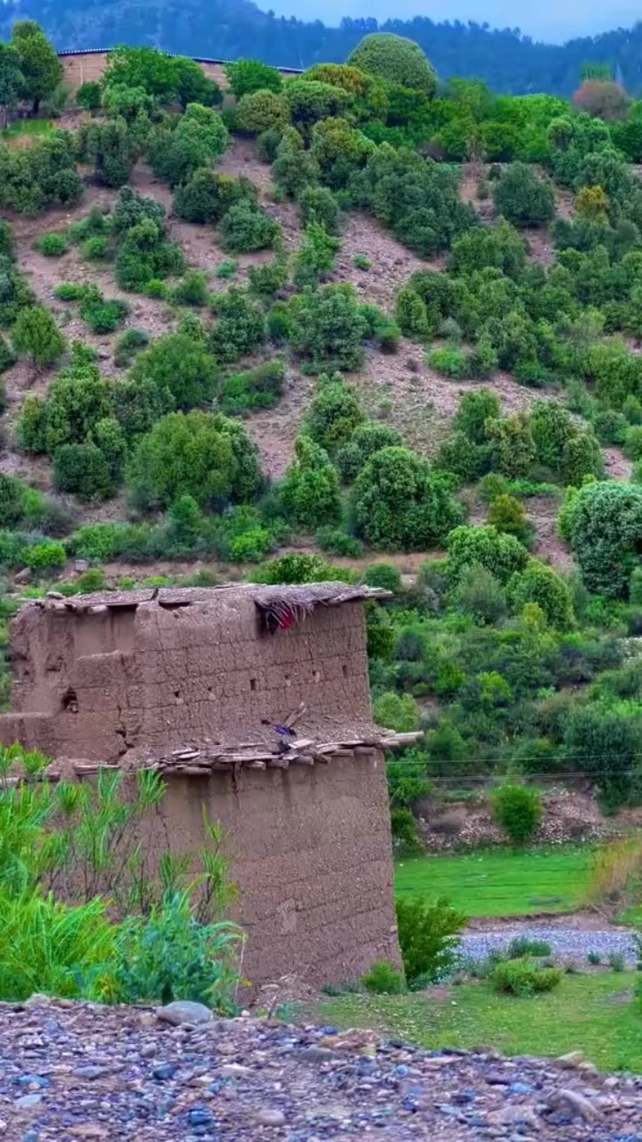 @🌹🌹وزیرستان گلونہ🌹🌹