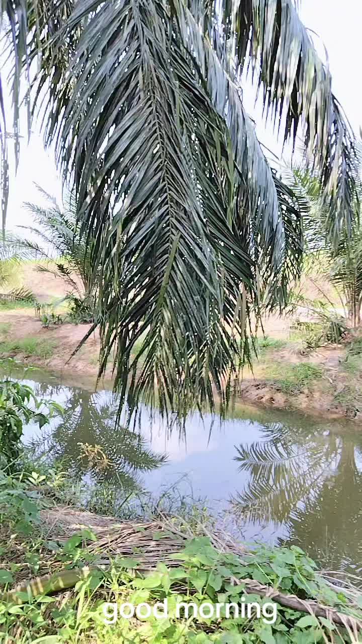 @murugan 86