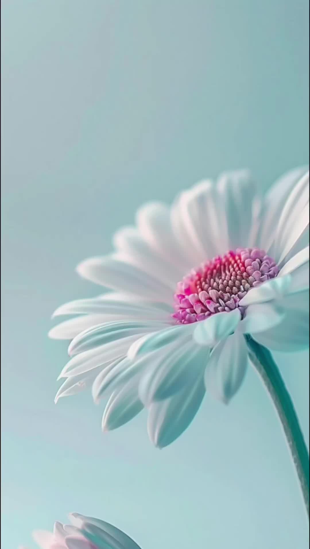 @tiy_891