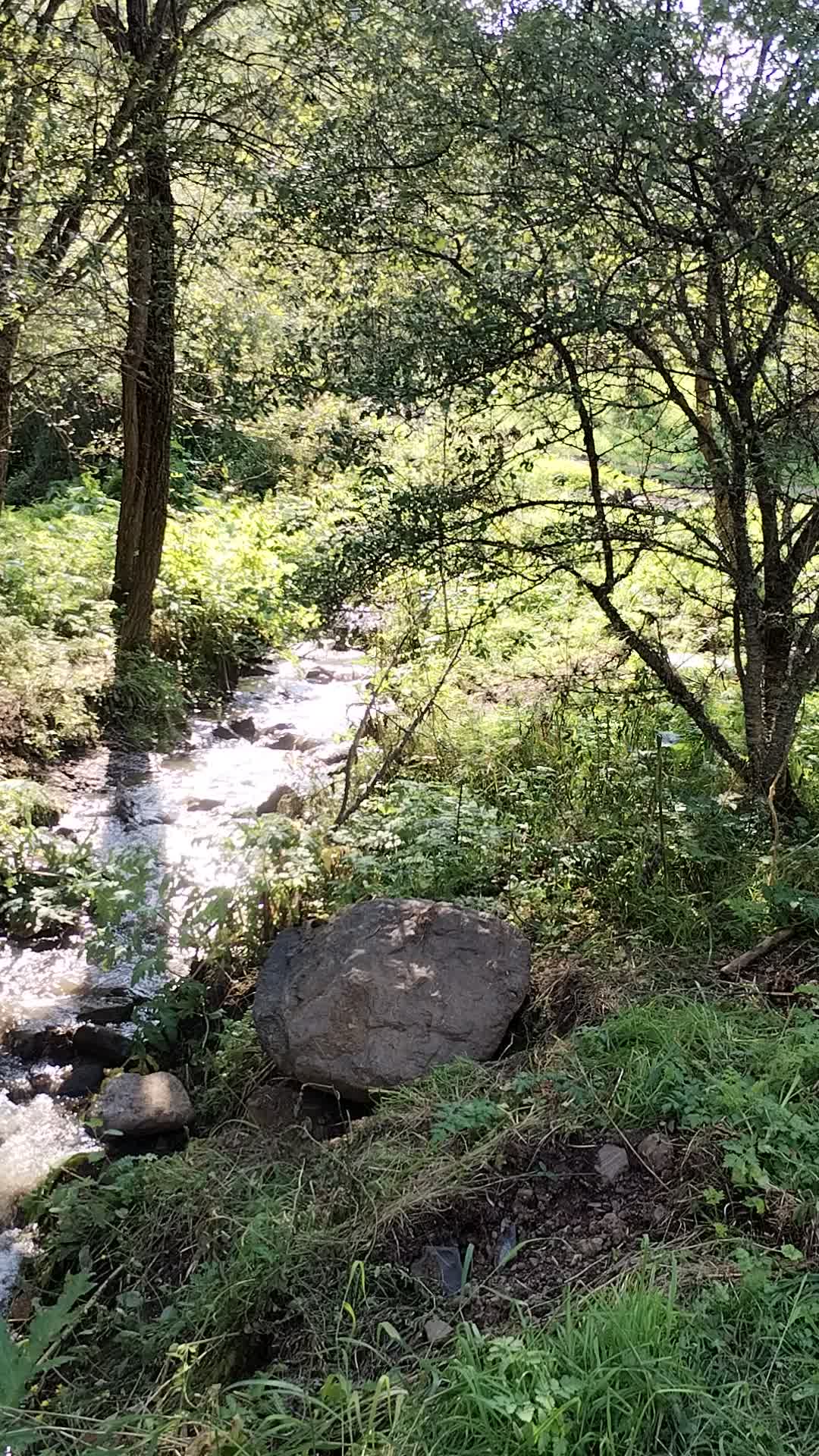 @LAÇIN EMİN