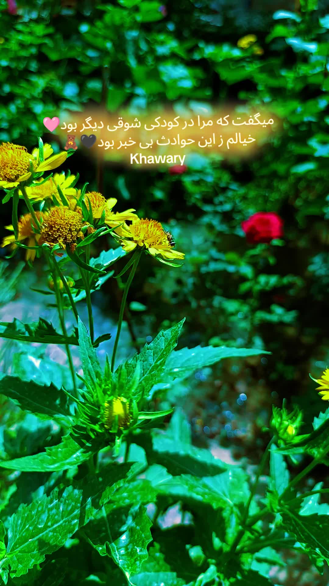 @Rezwana._.khawary