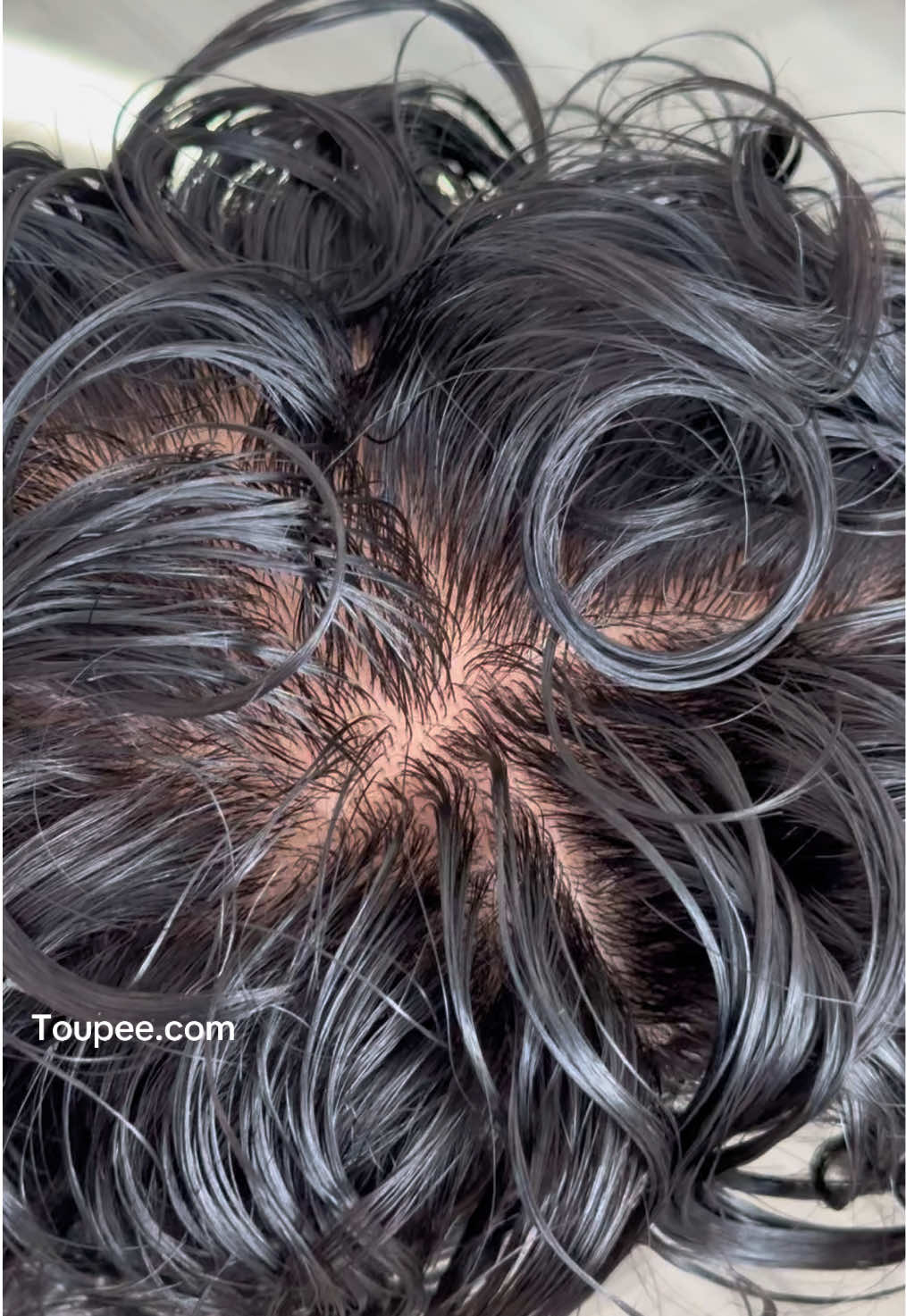 @Toupee.com