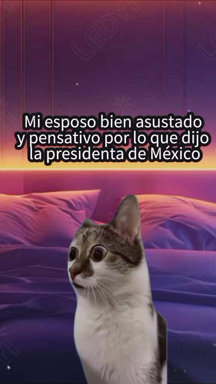 @memestristemariicruz🐈⬛ 🤣😔