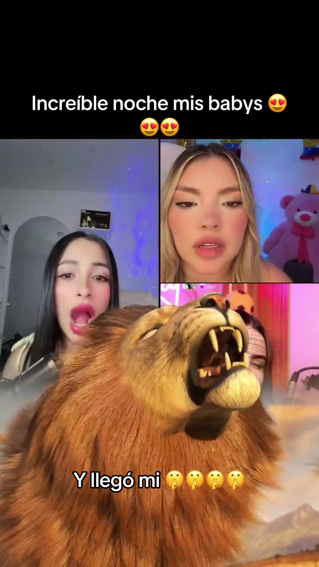 @🐦&zwj;🔥Marcelita🐦&zwj;🔥