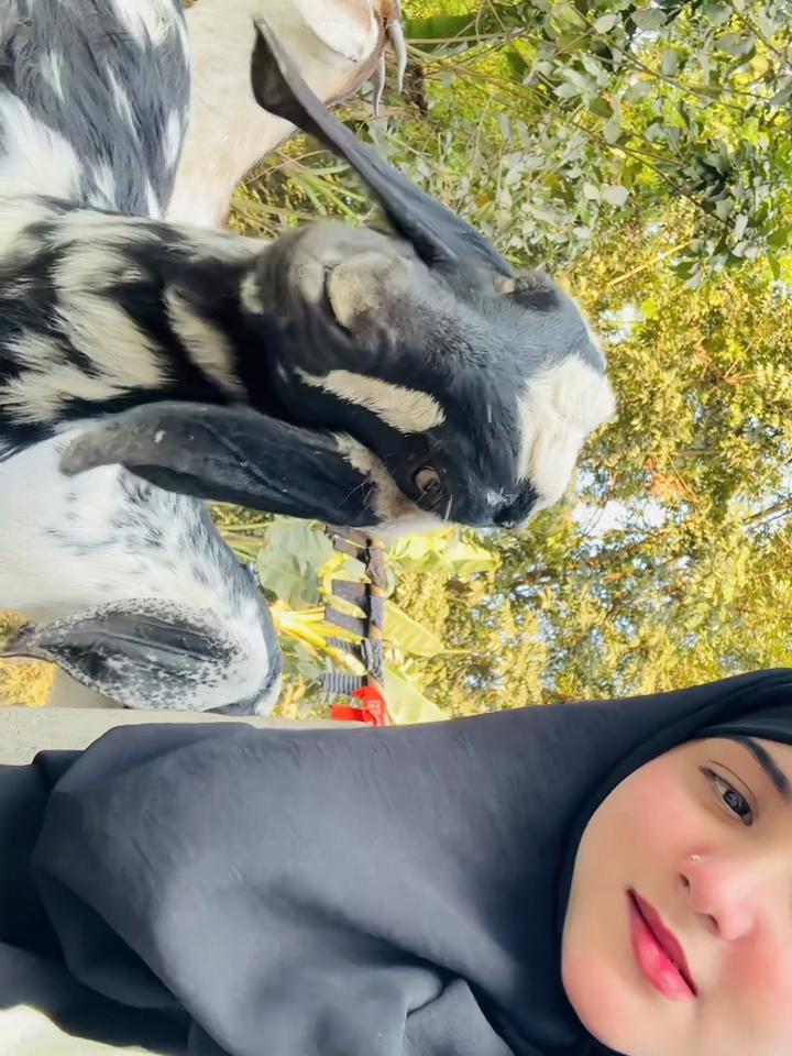@Afsana🌙🦋🦋